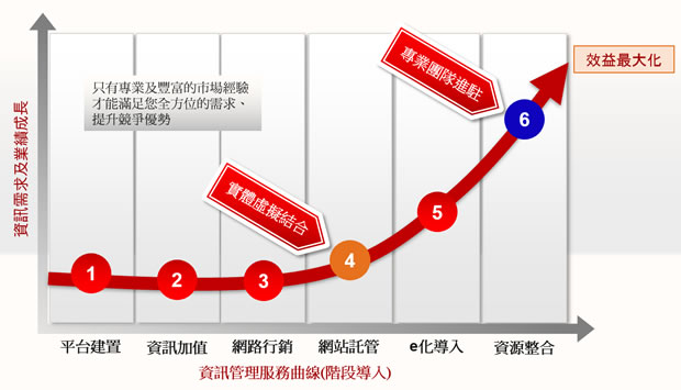 資訊管理服務曲線(階段導入)